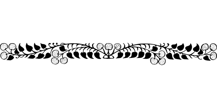 divider1-5946462_1280.png